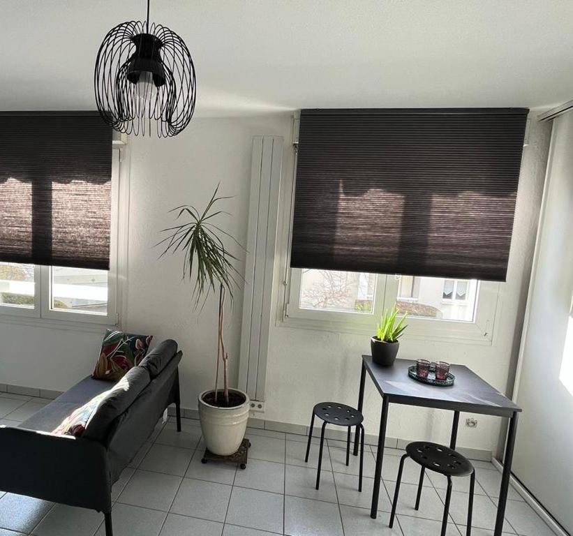 Zen-Itude Apartment Strasbourg Exterior photo